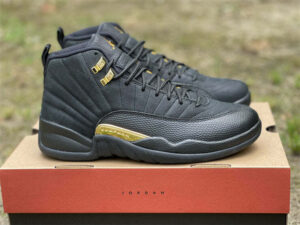 AJ Jordan 12 Retro CT8013-071